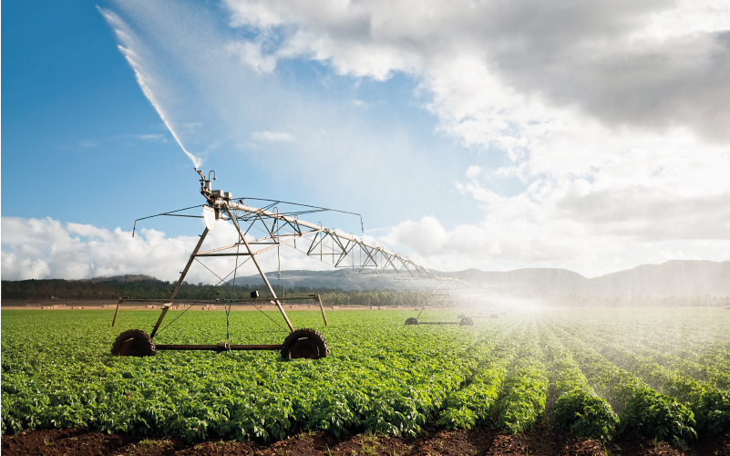 Peróxido de hidrógeno para agroquímicos