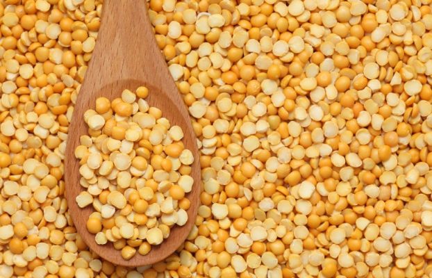 Yellow pea protein from environmentally sustainable production